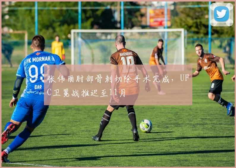 张伟丽肘部骨刺切除手术完成，UFC卫冕战推迟至11月